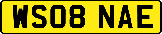 WS08NAE