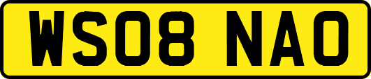 WS08NAO
