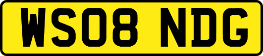 WS08NDG