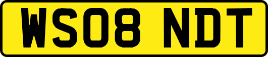 WS08NDT