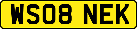 WS08NEK