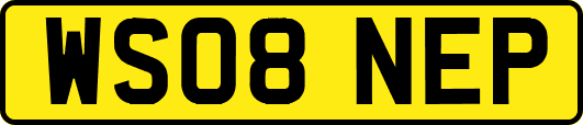 WS08NEP