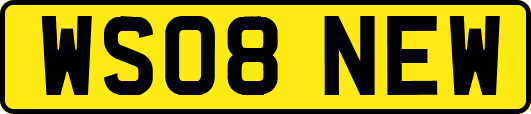 WS08NEW