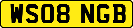 WS08NGB