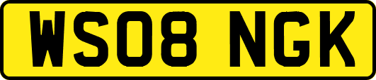 WS08NGK