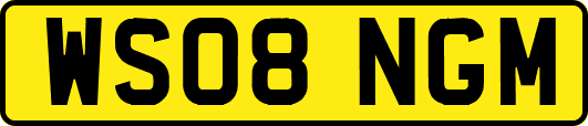 WS08NGM