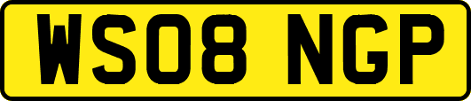 WS08NGP