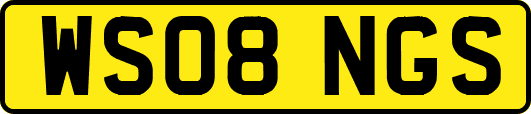 WS08NGS