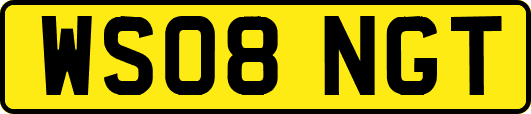 WS08NGT