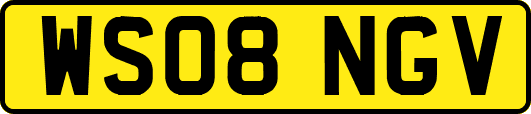 WS08NGV