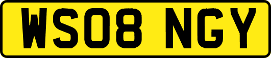 WS08NGY
