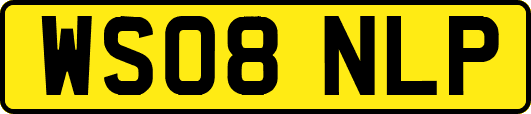WS08NLP
