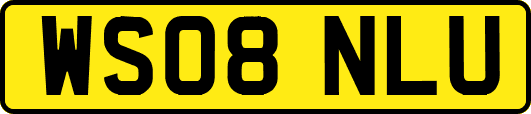 WS08NLU