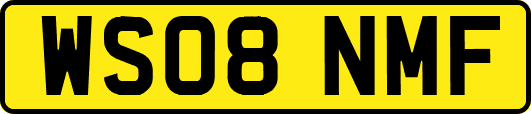 WS08NMF