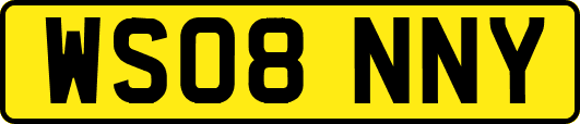 WS08NNY