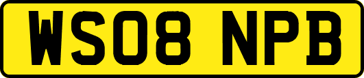 WS08NPB