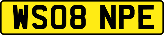 WS08NPE