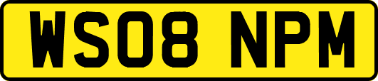 WS08NPM