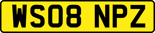 WS08NPZ