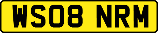 WS08NRM