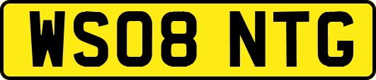 WS08NTG