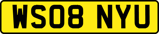 WS08NYU