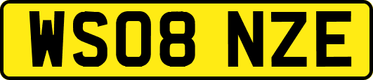WS08NZE