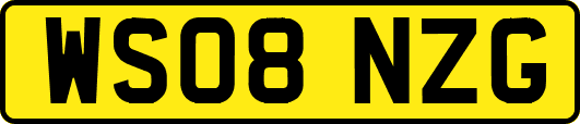 WS08NZG