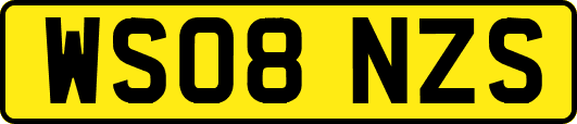 WS08NZS