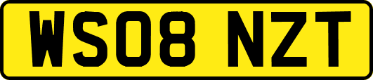 WS08NZT