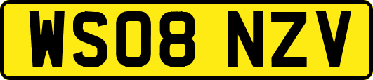 WS08NZV