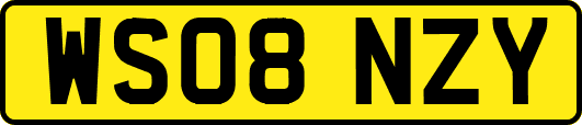WS08NZY