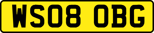 WS08OBG