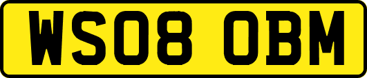 WS08OBM