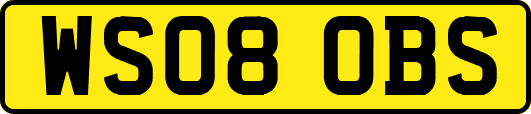 WS08OBS