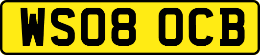 WS08OCB