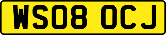 WS08OCJ