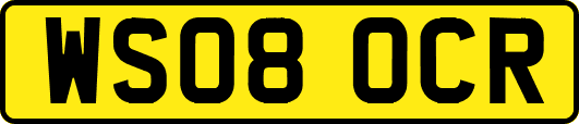 WS08OCR