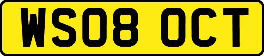 WS08OCT