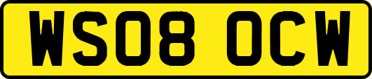 WS08OCW