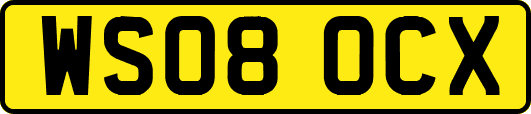 WS08OCX