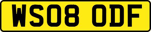 WS08ODF