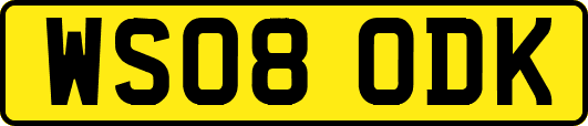 WS08ODK