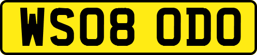 WS08ODO