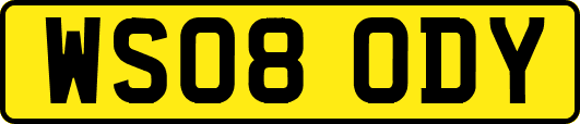WS08ODY