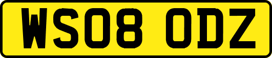 WS08ODZ