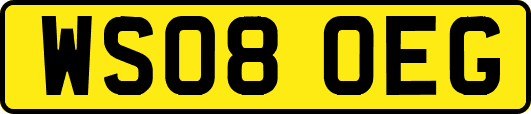 WS08OEG