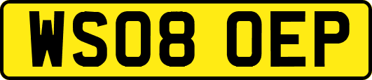 WS08OEP