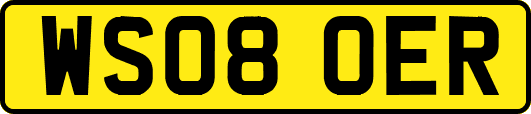 WS08OER