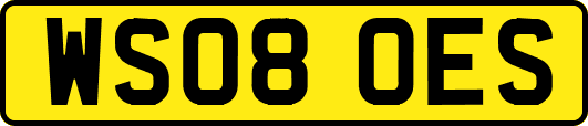 WS08OES